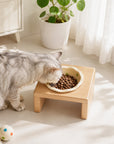 Elevated Wooden Cat Bowl