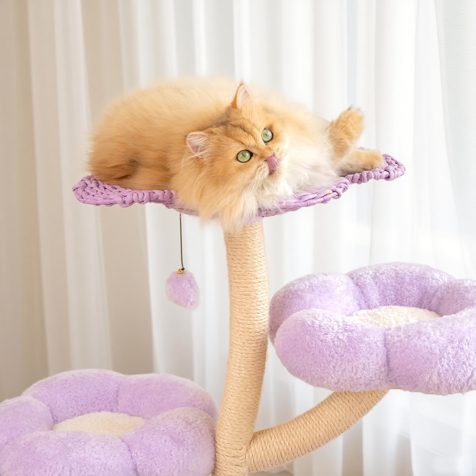 Purple Woven Flower Cat Tree – Happy & Polly