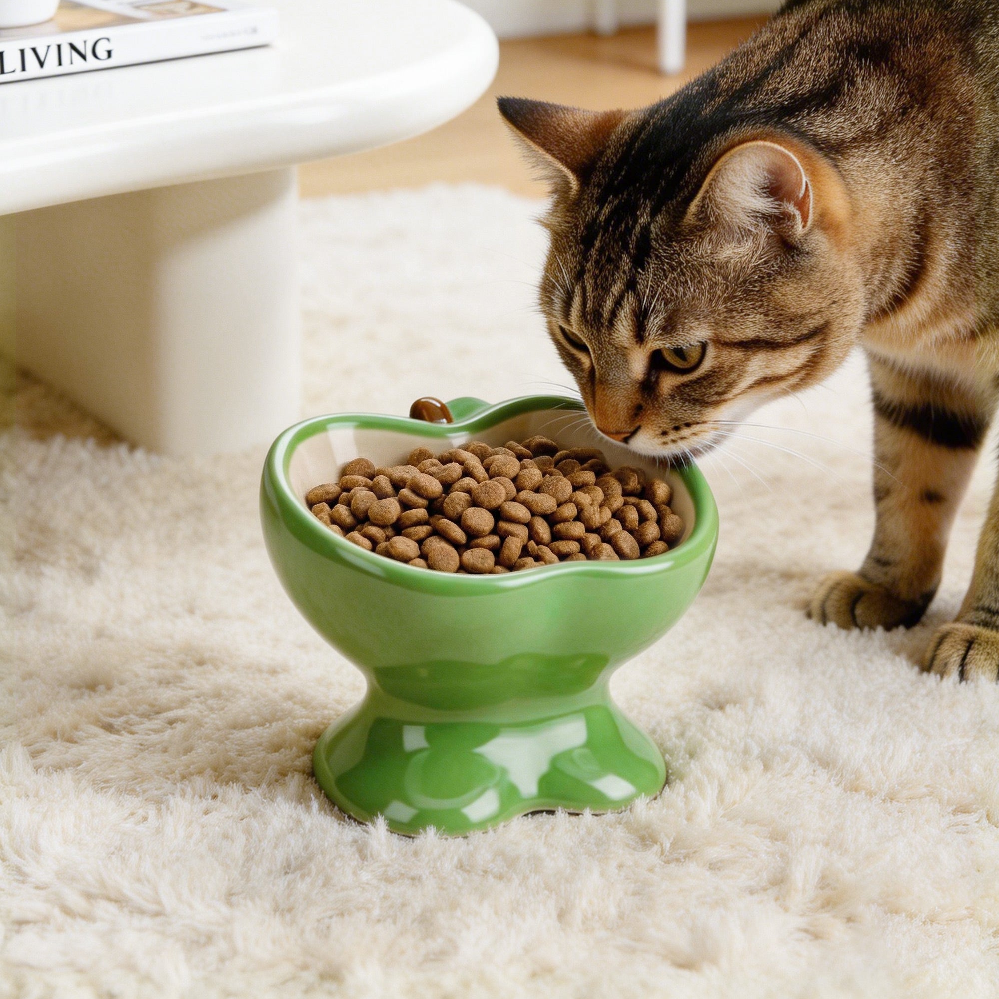 9oz Apple Bliss Elevated Cat Bowl