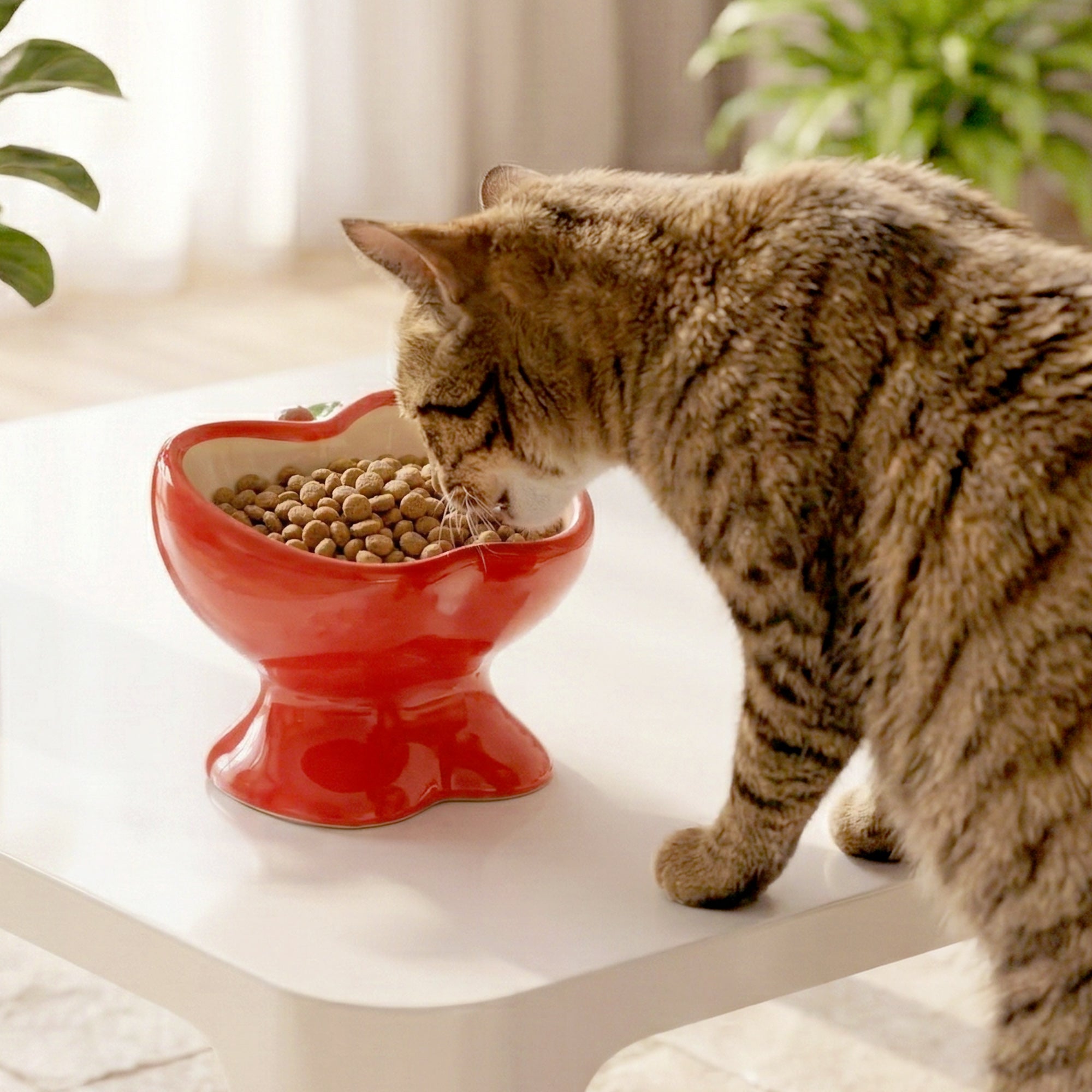 9oz Apple Bliss Elevated Cat Bowl