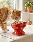 9oz Apple Bliss Elevated Cat Bowl