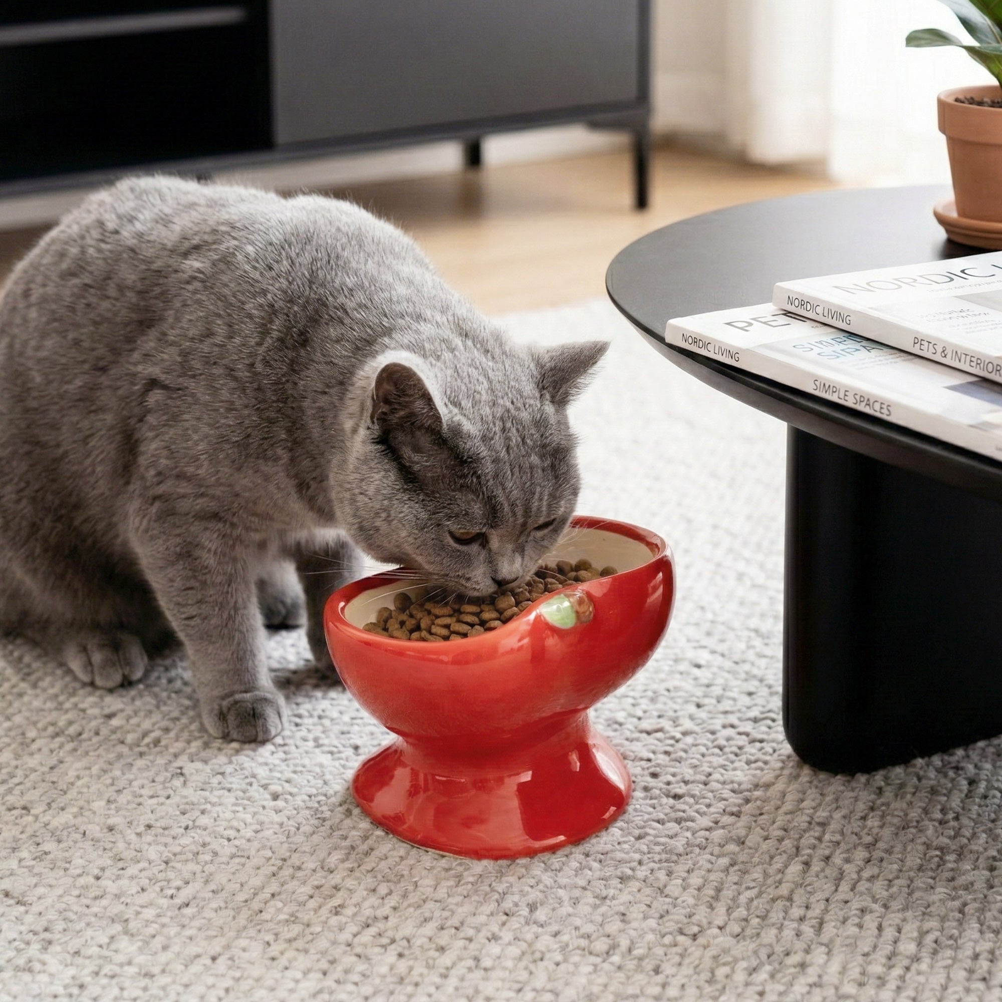 9oz Apple Bliss Elevated Cat Bowl