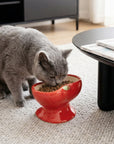 9oz Apple Bliss Elevated Cat Bowl