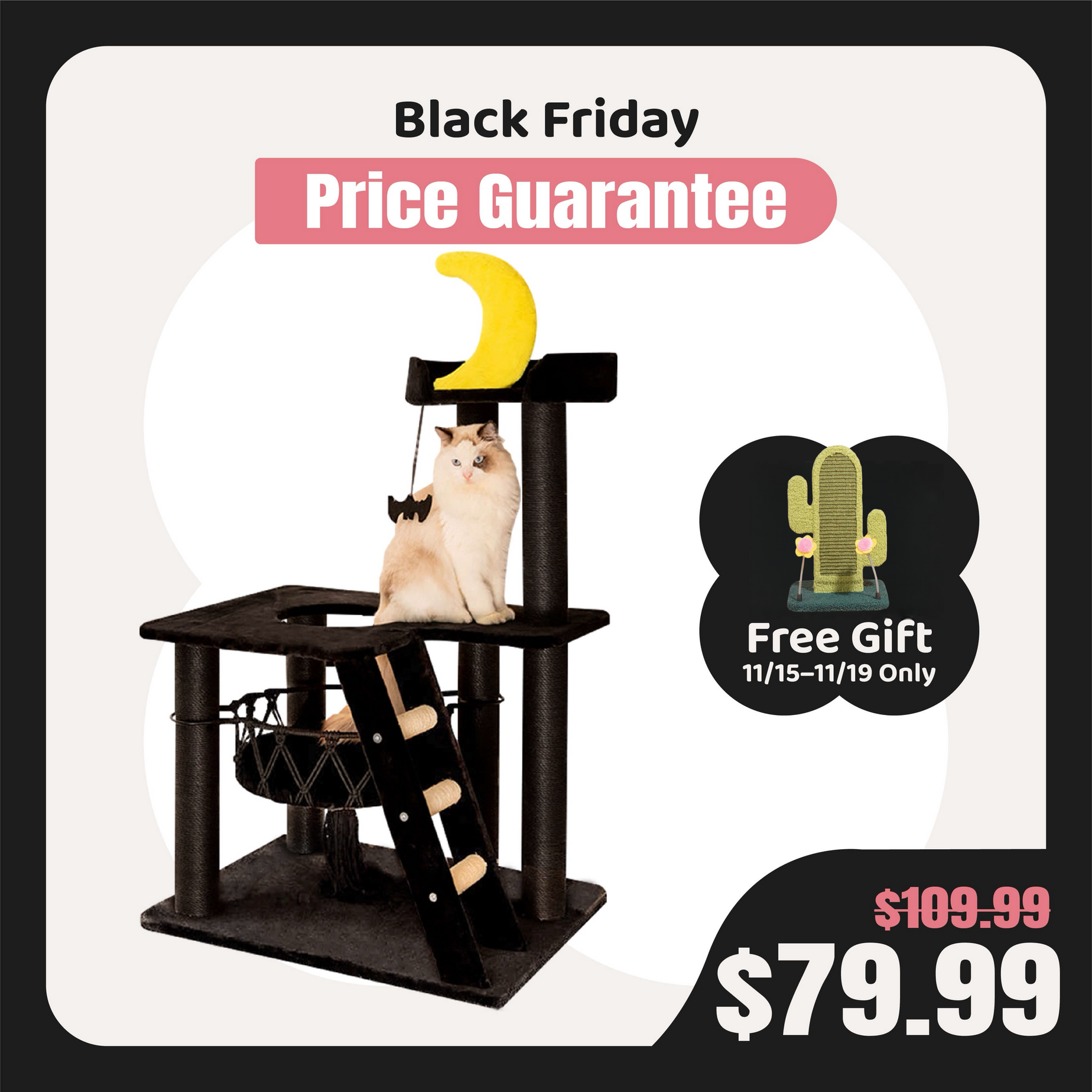 Happy & Polly Online Pet Store | Cat Bowls, Toys, Trees & Supplies