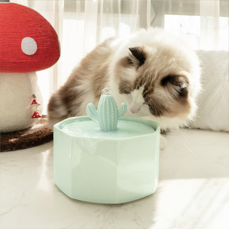 succulent cat water fountain Happy & Polly Cactus Style Ceramic Cat Water Fountain, 1.5-liter