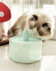 50oz/1.5L Cactus Style Cat Water Fountain