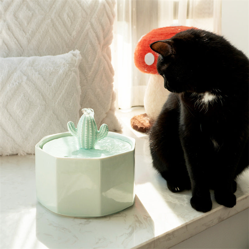 succulent water fountain cat Happy & Polly Cactus Style Ceramic Cat Water Fountain, 1.5-liter