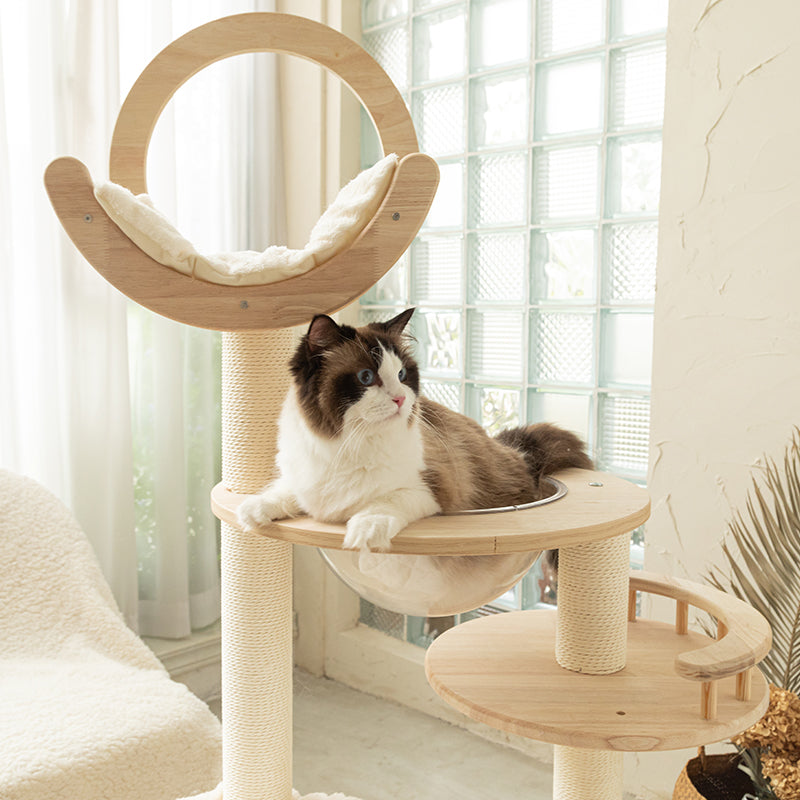 Transformable Cat Tree in Modern Home Decor -Cat comfortably nestled in the acrylic cat bed.