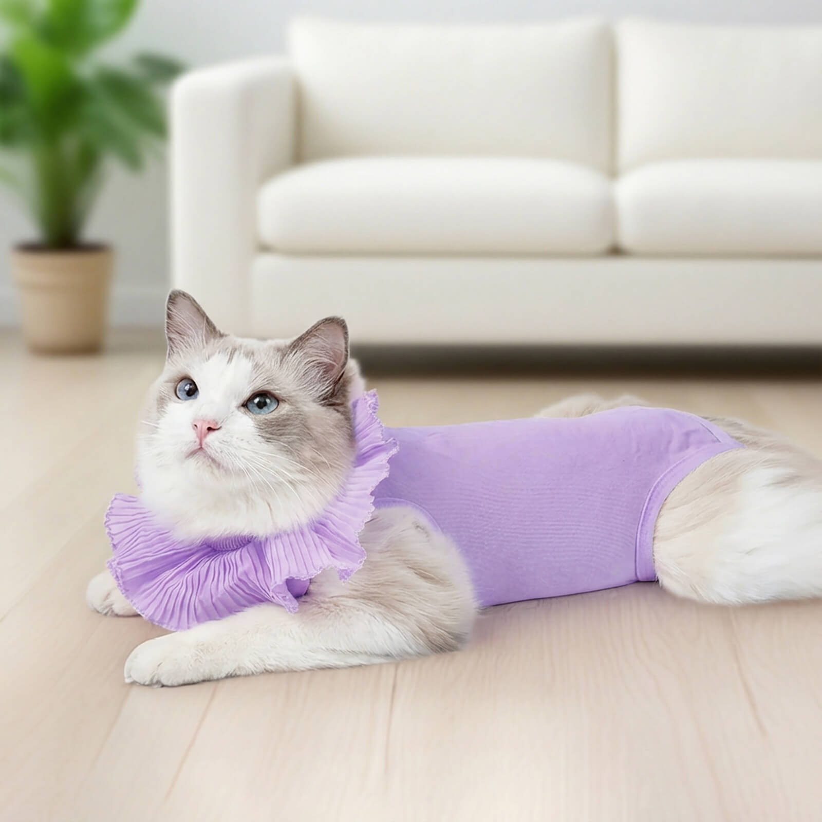 Soft Cotton Post-Surgery Cat Recovery Suit