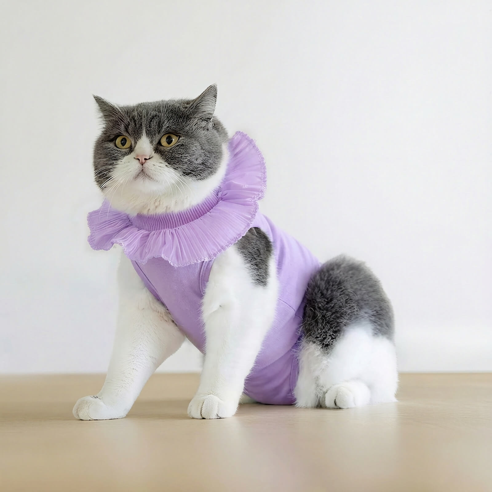 Soft Cotton Post-Surgery Cat Recovery Suit