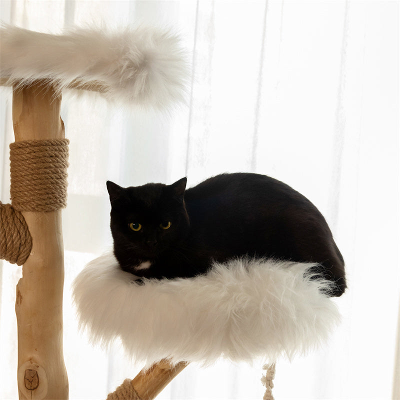 Close-up detail of a white cat climbing on the platform of the Cloud Swing Cat Tree