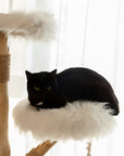 Close-up detail of a white cat climbing on the platform of the Cloud Swing Cat Tree