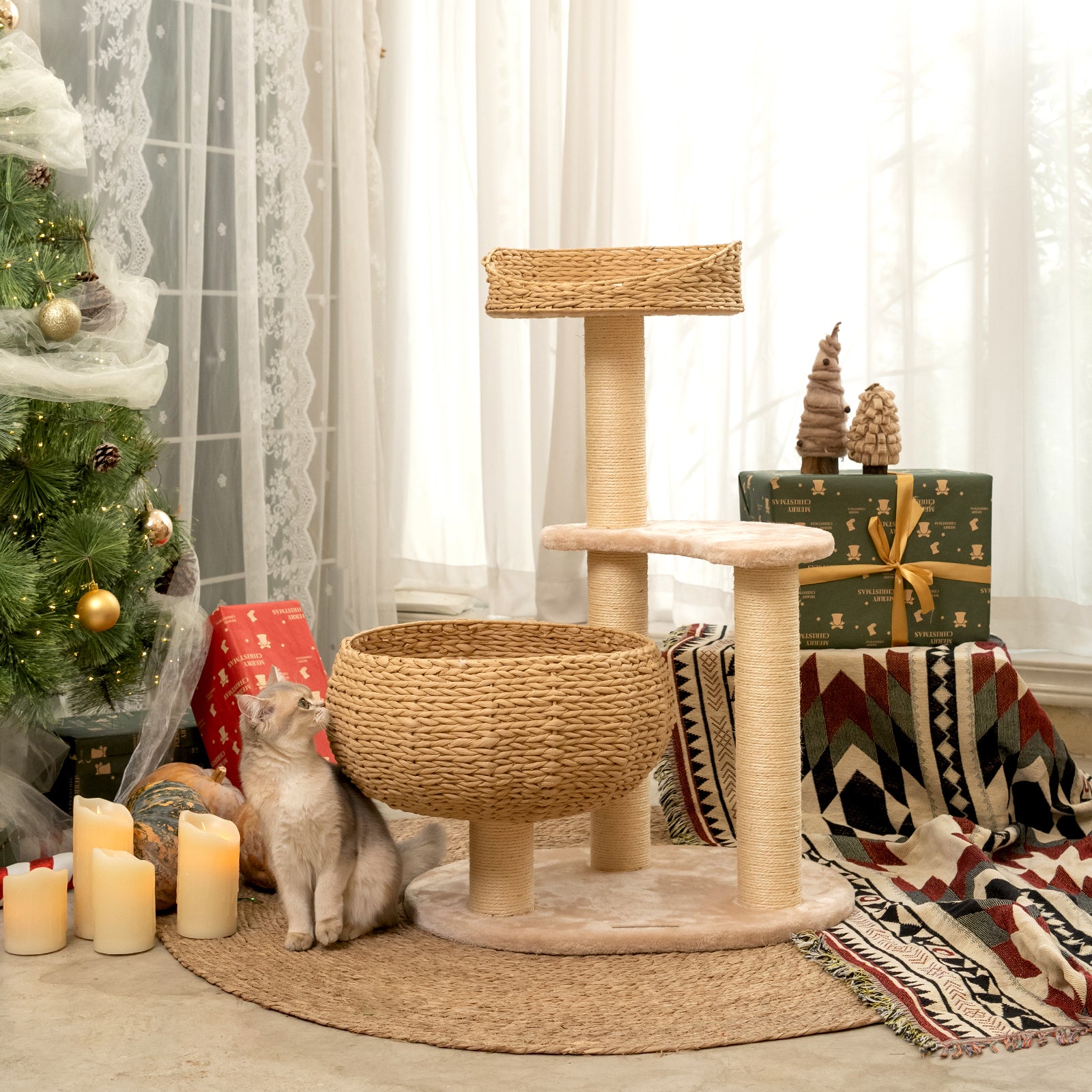 Sleeping in the Bowl Cat Tree