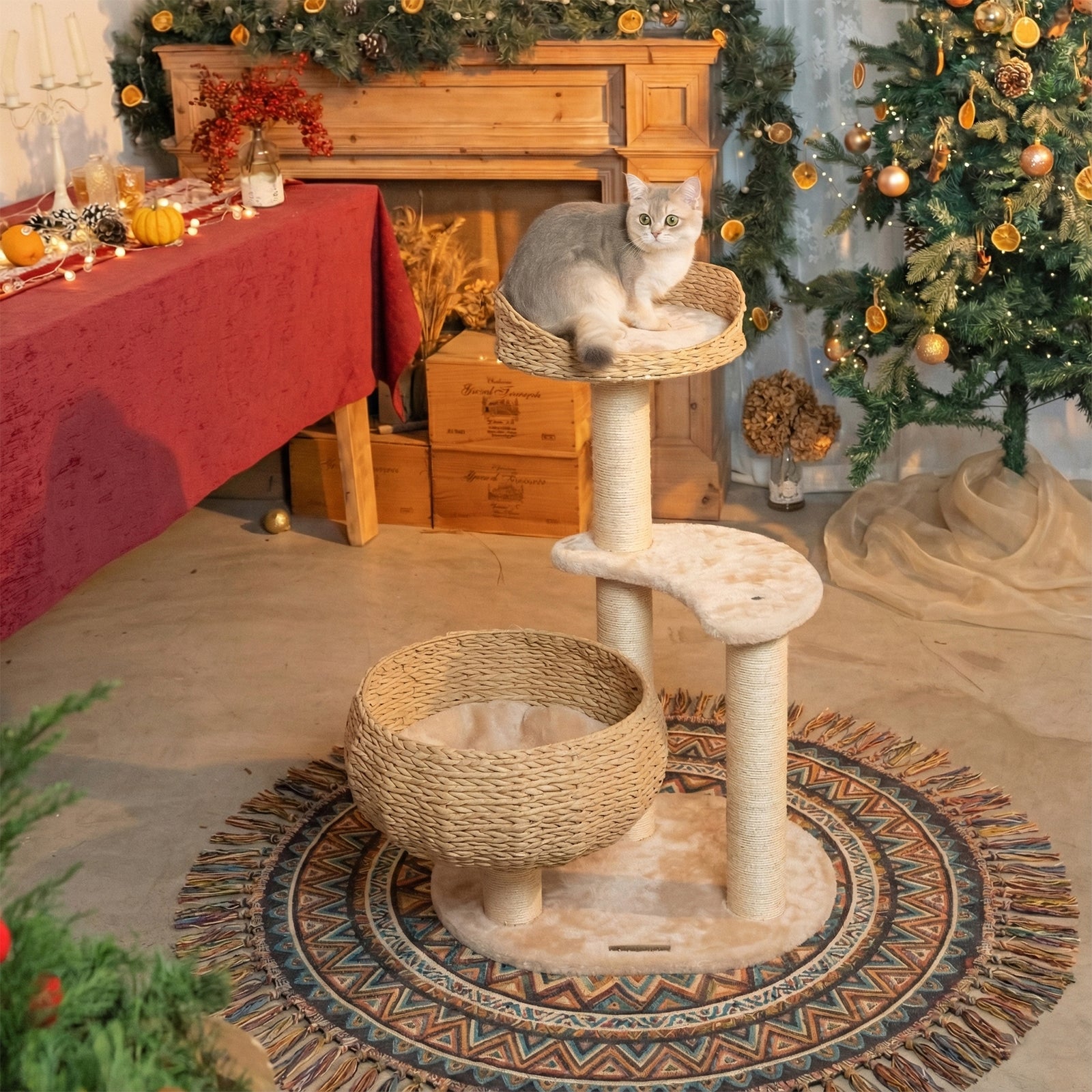 Sleeping in the Bowl Cat Tree
