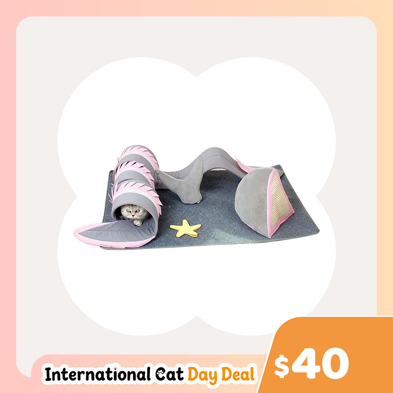 Fish Adventure Cat Sniffing Mat Tunnel