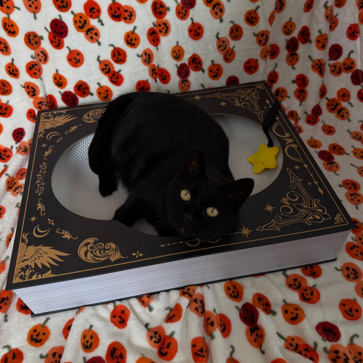 Midnight Grimoire Cat Scratcher