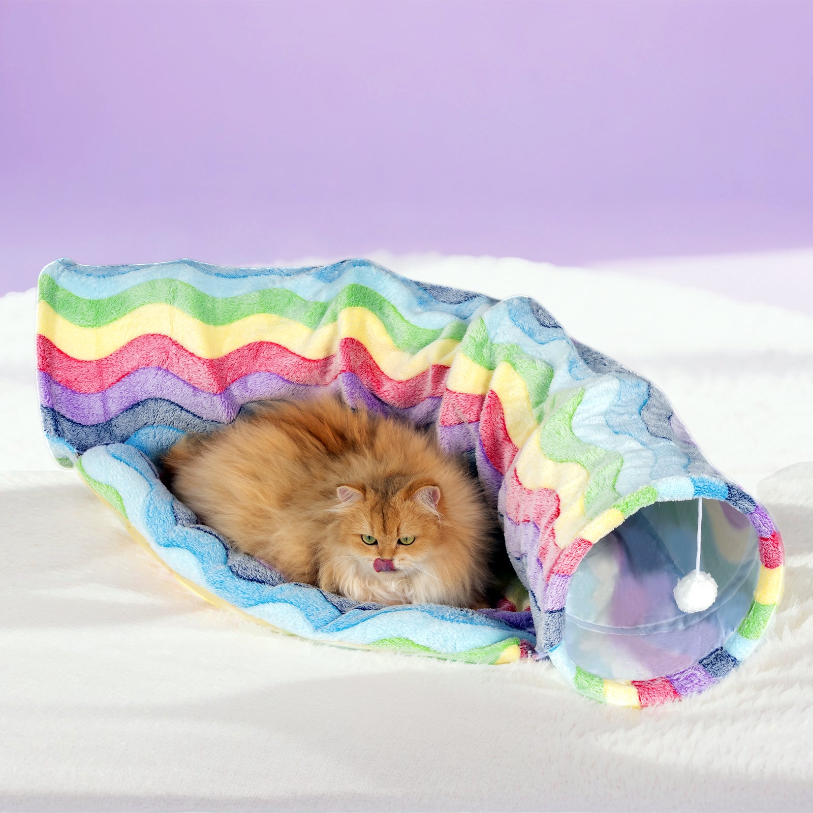 Elves in the Rainbow Cat Tunnel