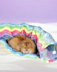 Elves in the Rainbow Cat Tunnel