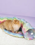 Elves in the Rainbow Cat Tunnel