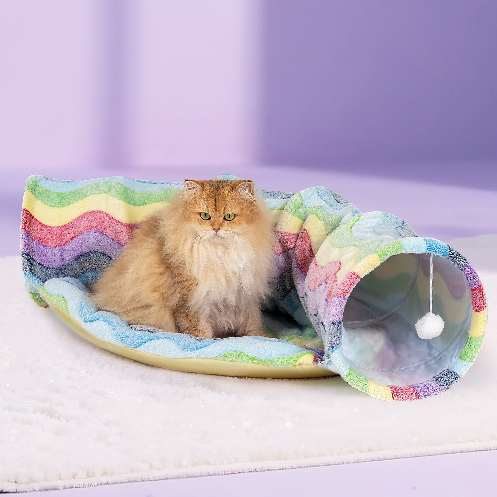 Elves in the Rainbow Cat Tunnel