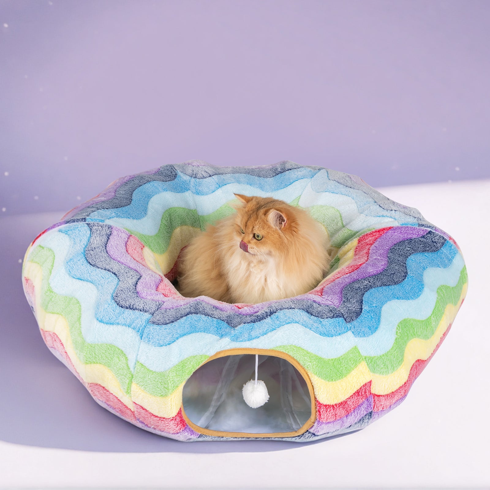 Elves in the Rainbow Cat Tunnel