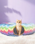Elves in the Rainbow Cat Tunnel