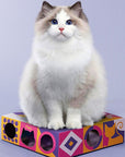 Smart Cat Teaser Box