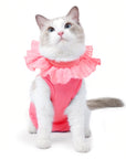 Cat Recovery Suit – Pink