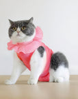 Cat Recovery Suit – Pink