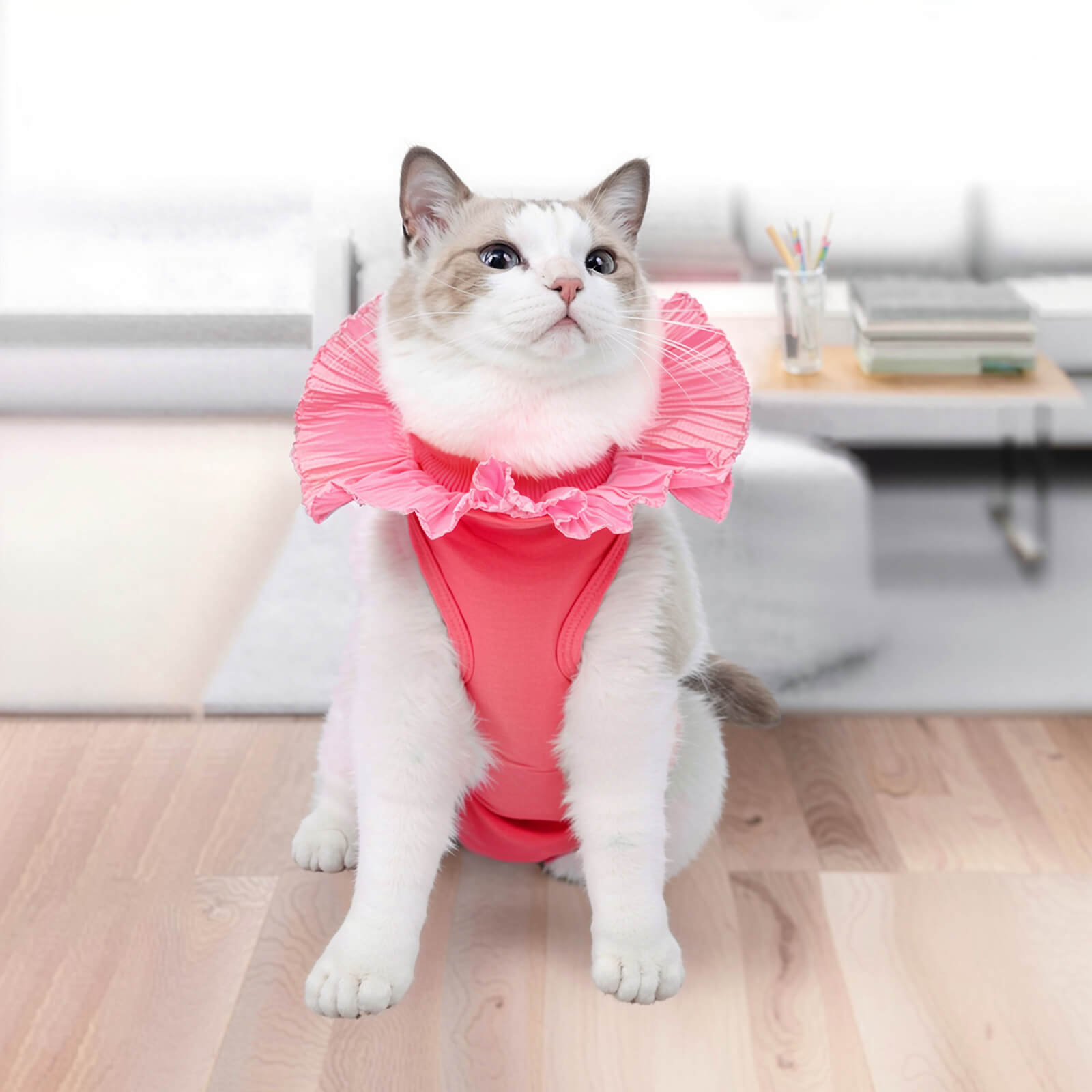 Cat Recovery Suit – Pink