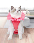 Cat Recovery Suit – Pink