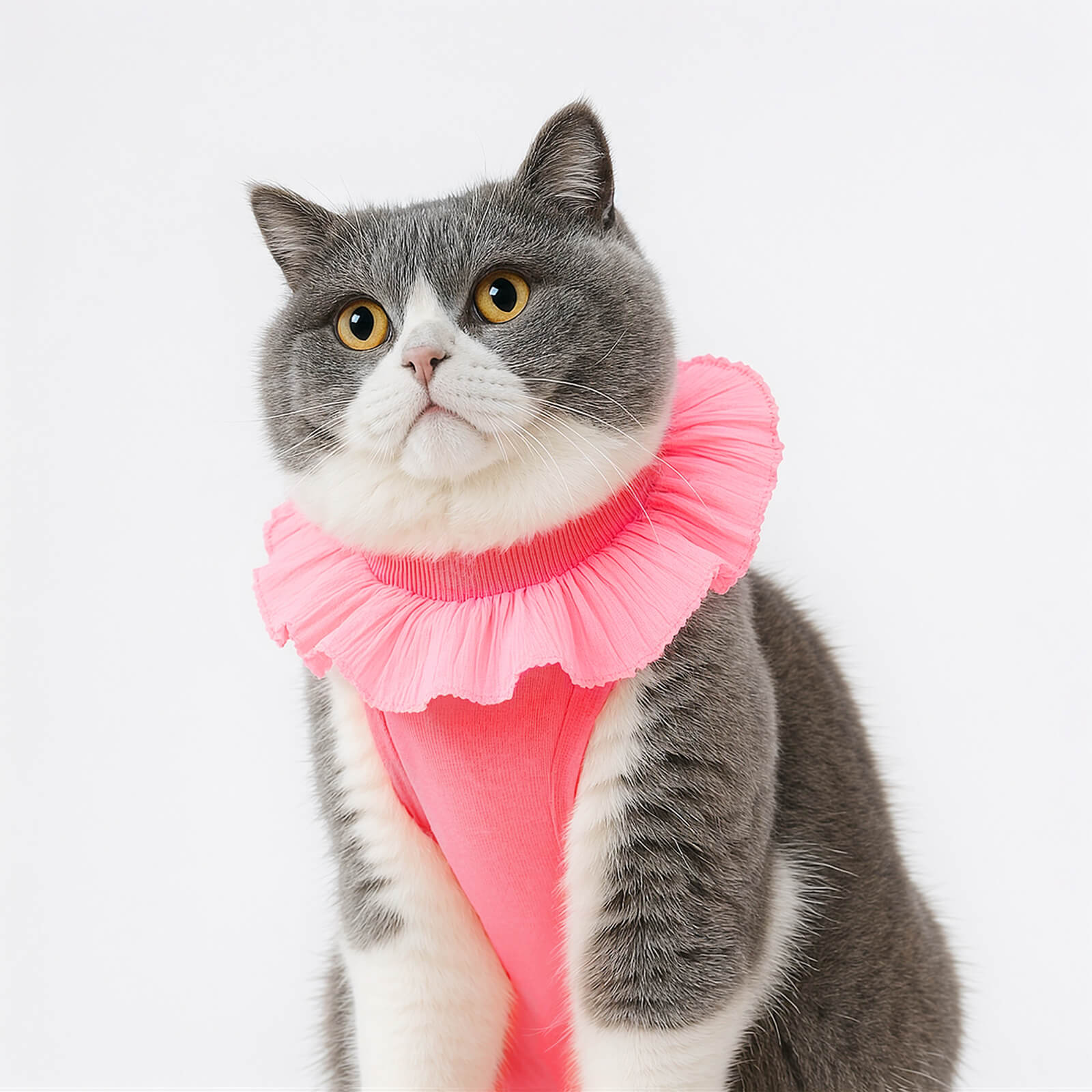 Cat Recovery Suit – Pink