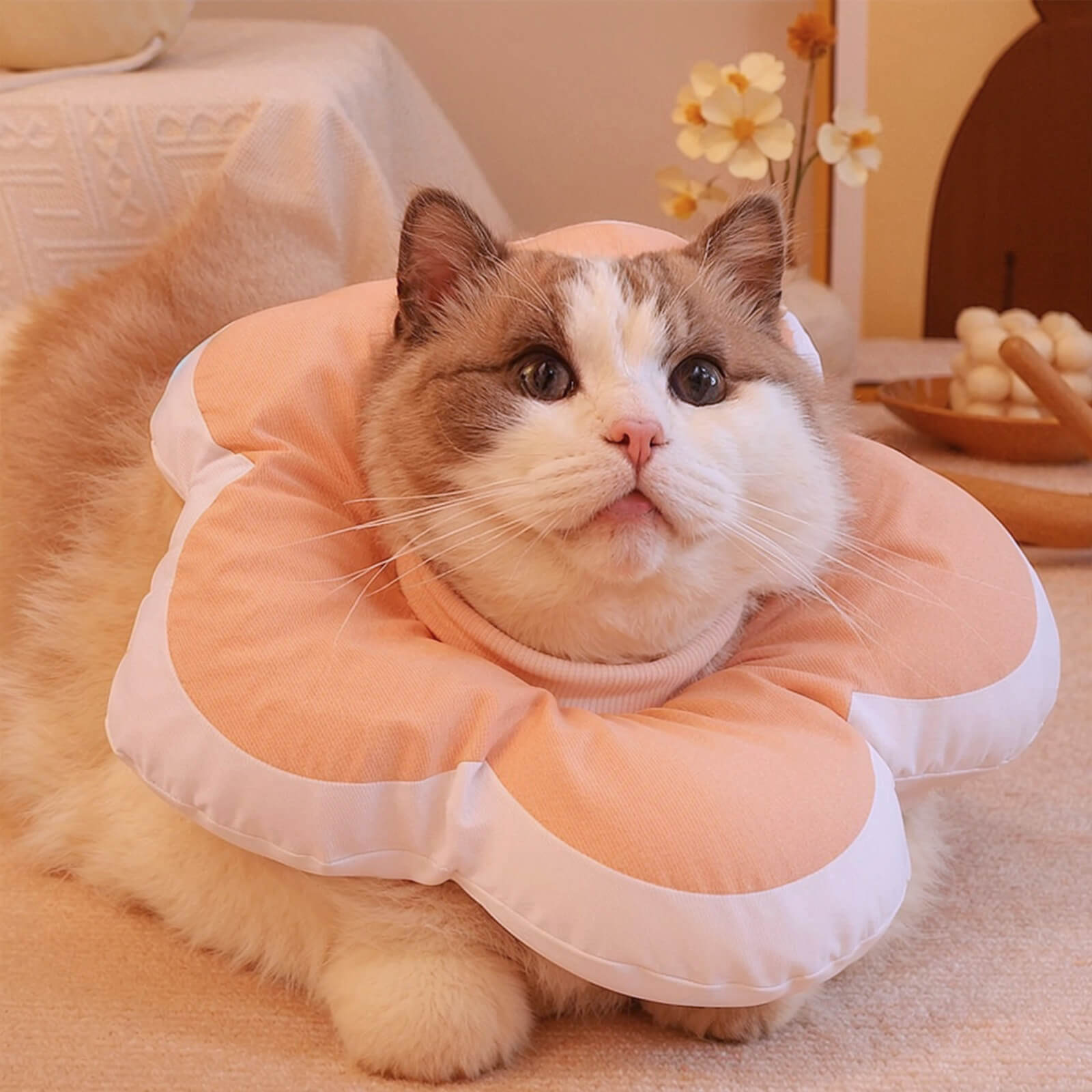 Protective Recovery Cone Cat Collar