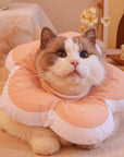 Protective Recovery Cone Cat Collar