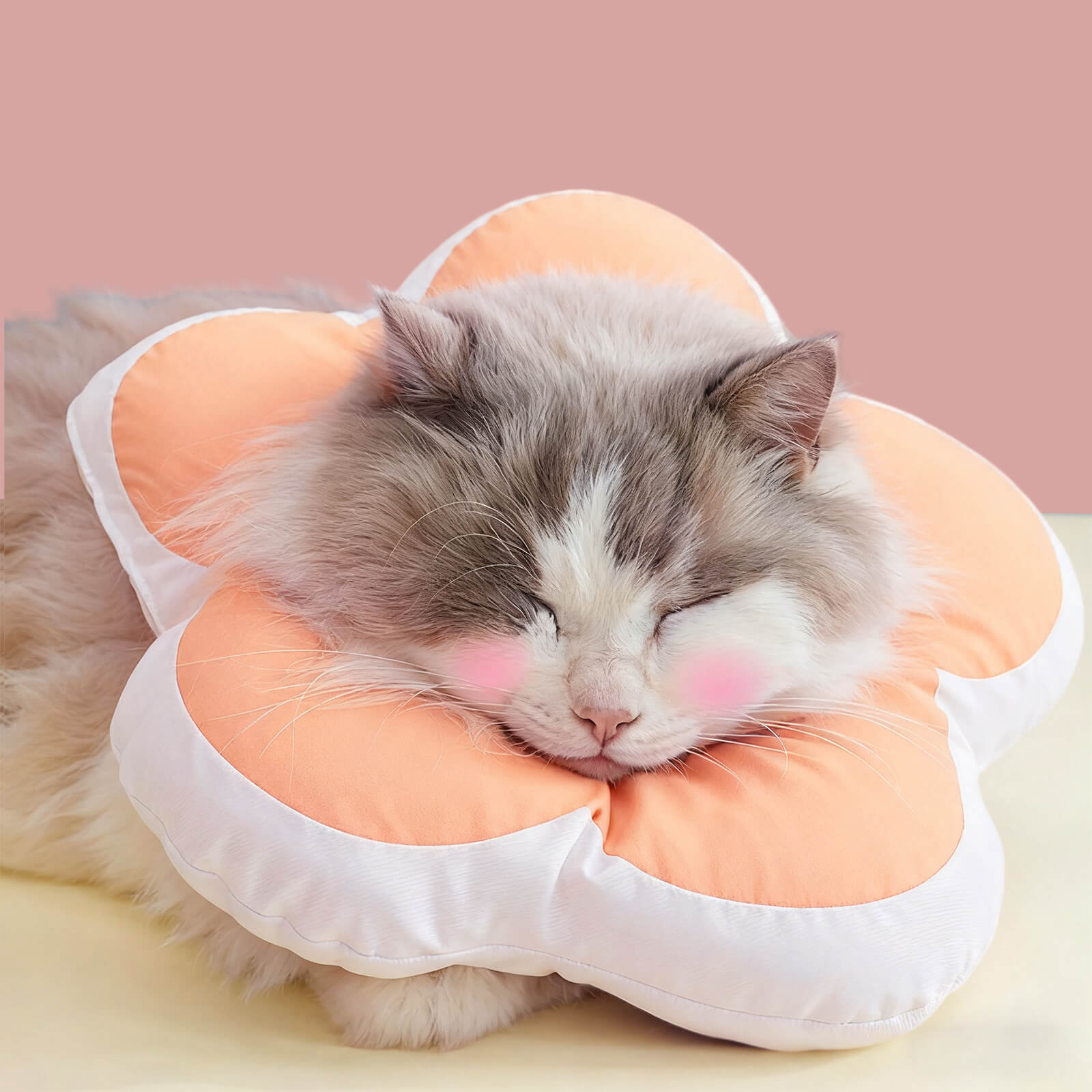 Protective Recovery Cone Cat Collar