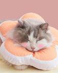Protective Recovery Cone Cat Collar
