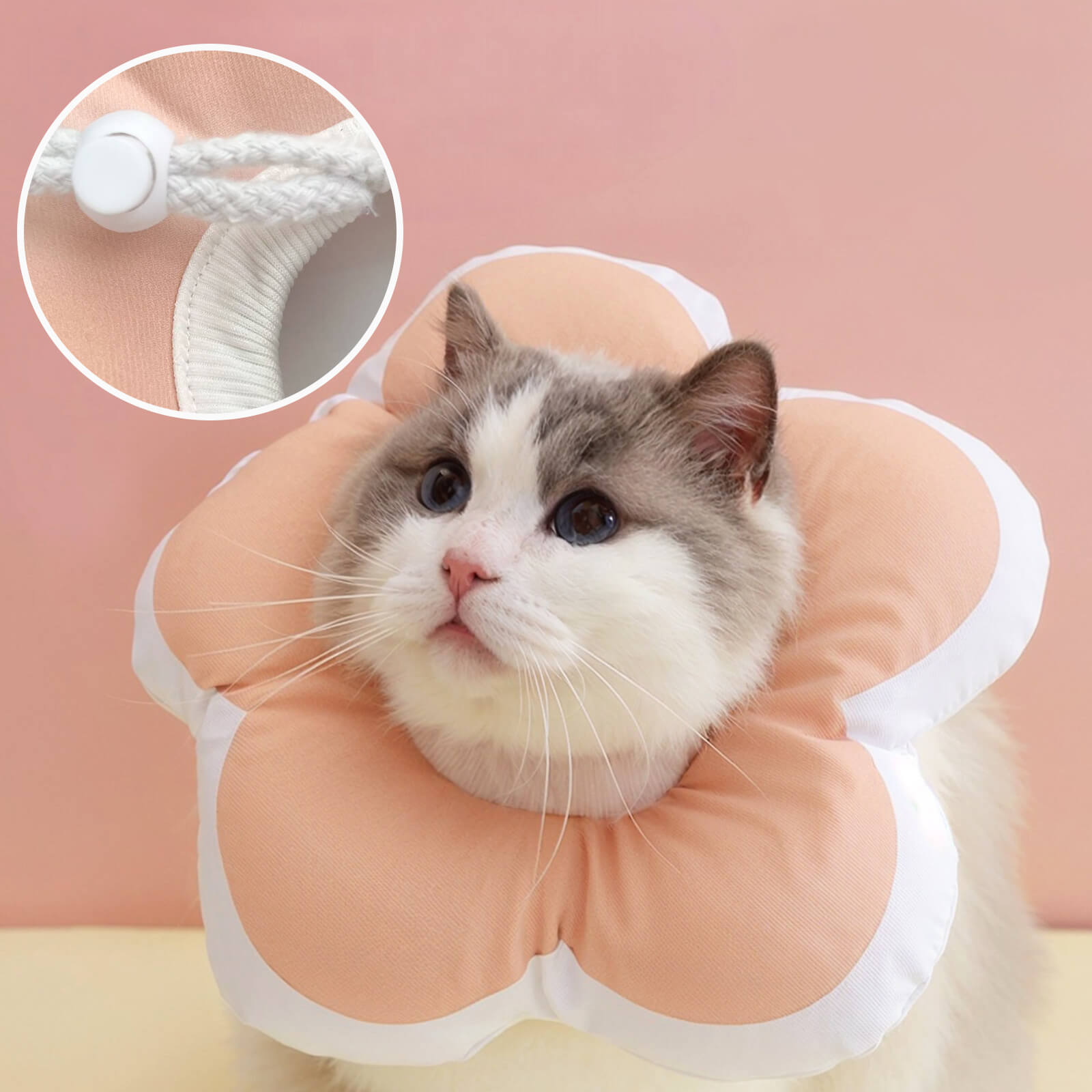 Protective Recovery Cone Cat Collar – Happy & Polly