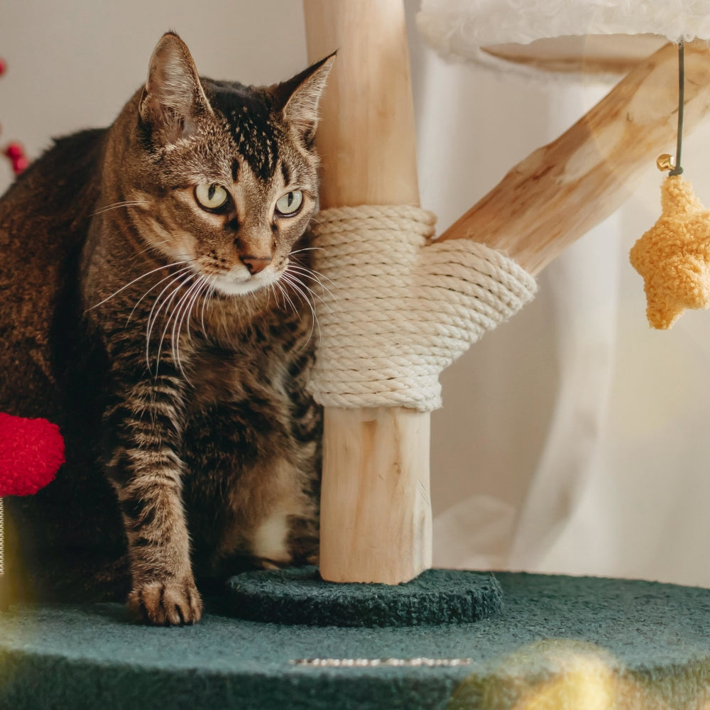 Santa Hat Cat Tree