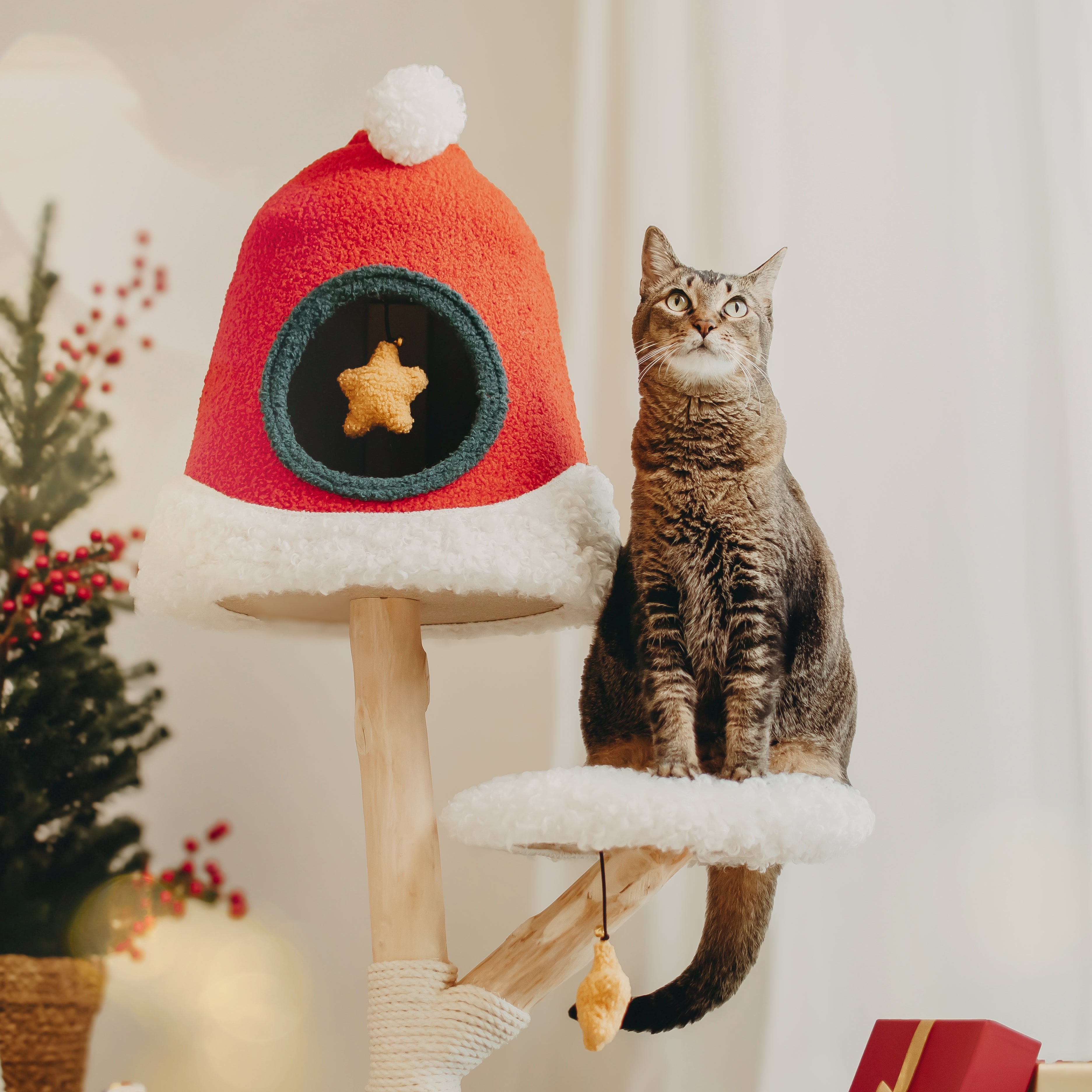 Pure Christmas Classic Bundle