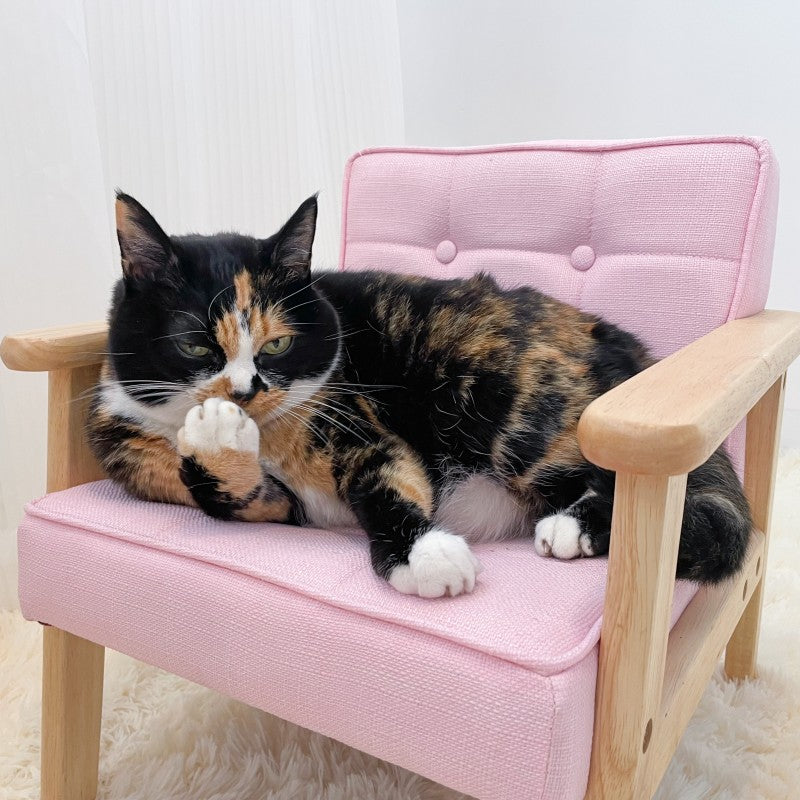 Pet chairs for on sale cats