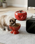 Love Apple Cat Bowl & Fountain Set