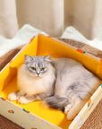 Travel Buddy Kit: 5.5 lbs Cat Litter & Foldable Litter Box