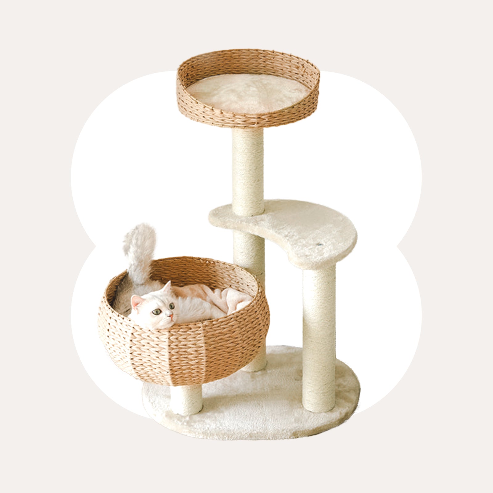 Sleeping in the Bowl Cat Tree