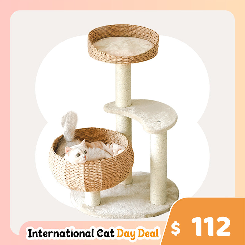 Sleeping in the Bowl Cat Tree
