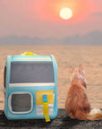 Watching the sunset with your cat