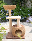 Brown Rattan Cat Tree in the yard.