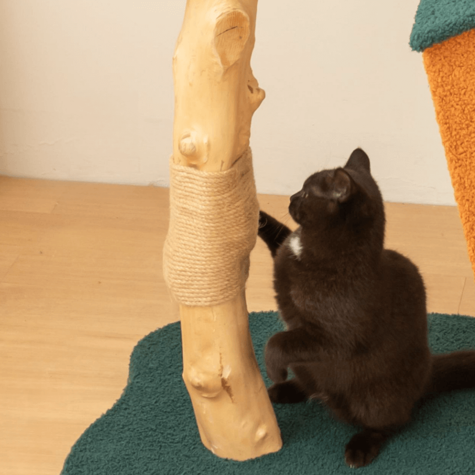 A black cat scratching the sisal on the Brown Wood House Cat Tree