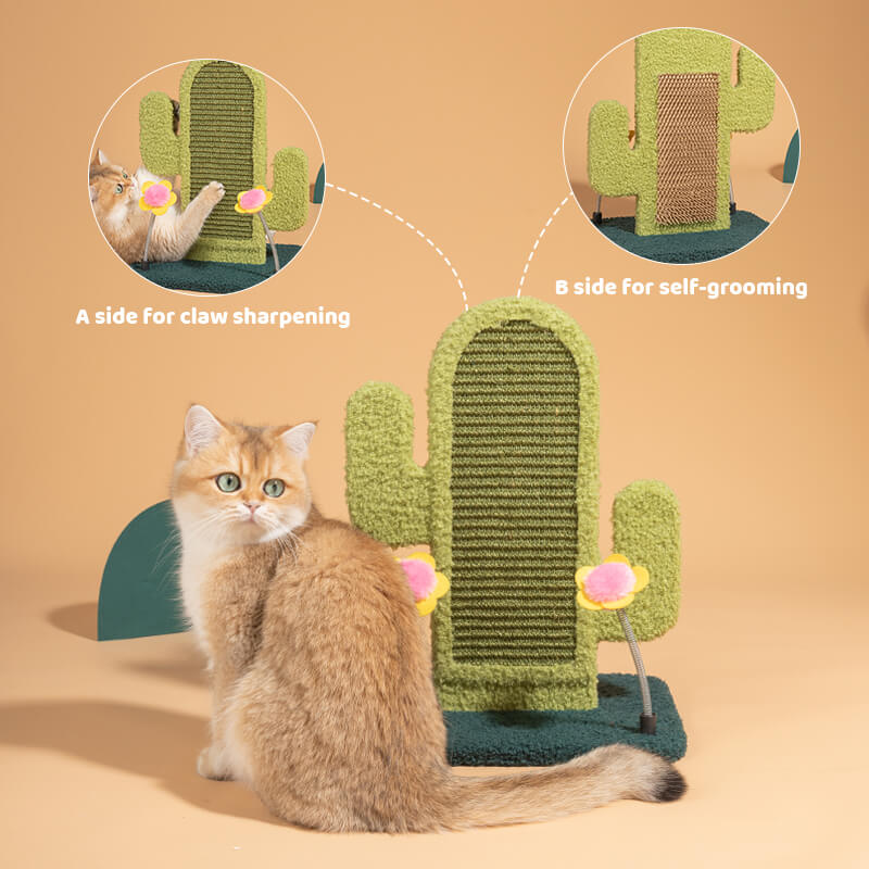 Cactus Cat Scratcher showing its dual surfaces—one for scratching and one for rubbing.