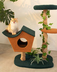 A cat siting on Brown Wood House Cat Tree roof in living room