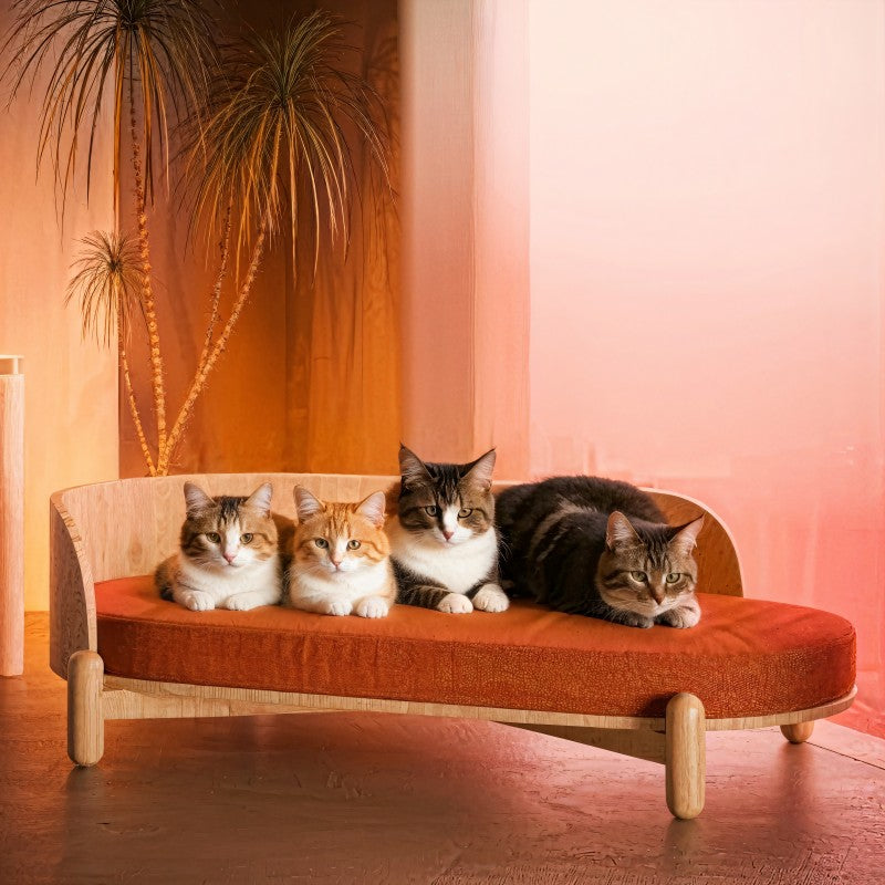 35.9&#39;&#39; Wooden Sunset Cat Couch for Multiple Cats - Stylish Lounge &amp; Play